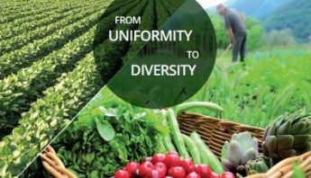 Uniformity to Diversity Article