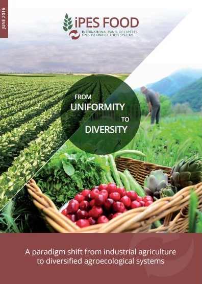 Uniformity to Diversity Article